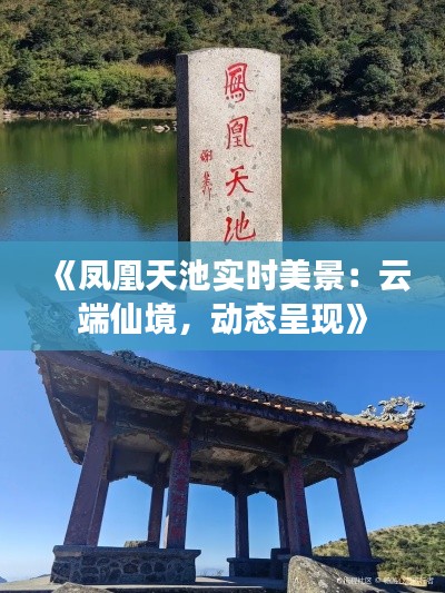 《凤凰天池实时美景：云端仙境，动态呈现》