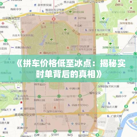 《拼车价格低至冰点：揭秘实时单背后的真相》