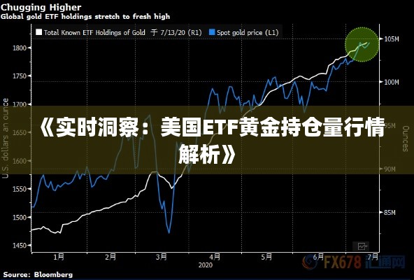 《实时洞察：美国ETF黄金持仓量行情解析》