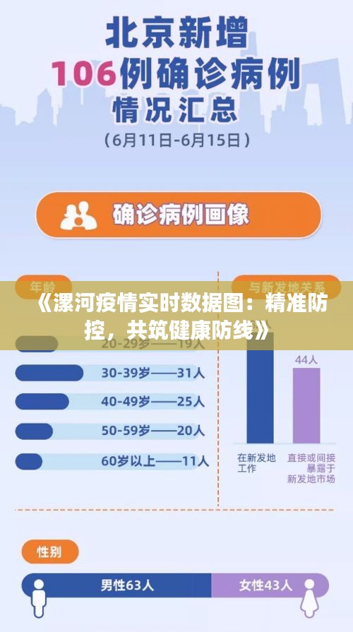 《漯河疫情实时数据图：精准防控，共筑健康防线》