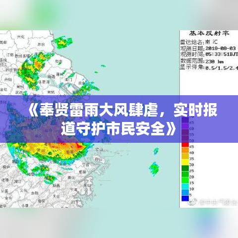 《奉贤雷雨大风肆虐，实时报道守护市民安全》