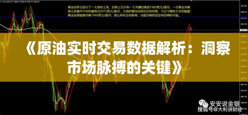 《原油实时交易数据解析：洞察市场脉搏的关键》