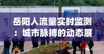 岳阳人流量实时监测：城市脉搏的动态展现