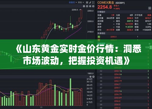 《山东黄金实时金价行情：洞悉市场波动，把握投资机遇》