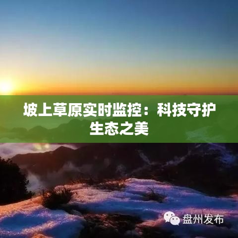 坡上草原实时监控：科技守护生态之美