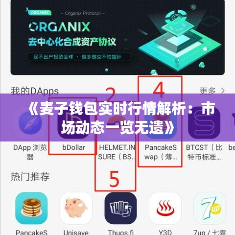 《麦子钱包实时行情解析：市场动态一览无遗》