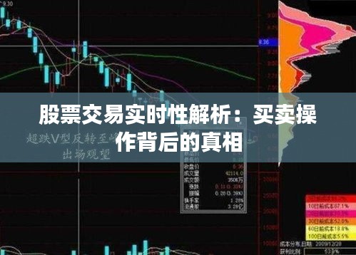 企业介绍 第33页