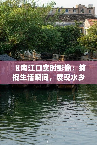 《南江口实时影像：捕捉生活瞬间，展现水乡风情》