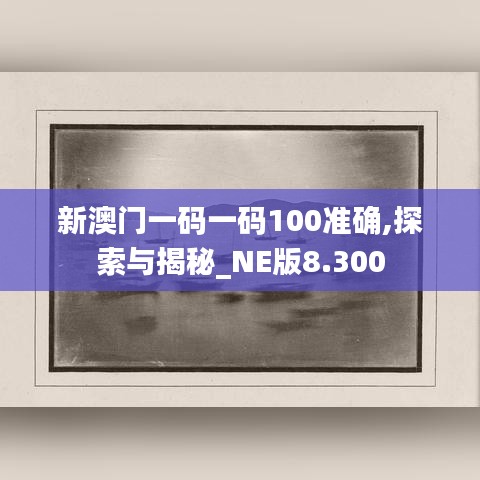 新澳门一码一码100准确,探索与揭秘_NE版8.300