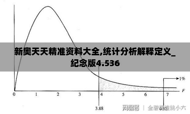 新奥天天精准资料大全,统计分析解释定义_纪念版4.536