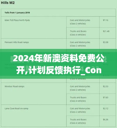 2024年新澳资料免费公开,计划反馈执行_Console4.307