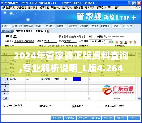 2024年管家婆正版资料查询,专业解析说明_L版4.264