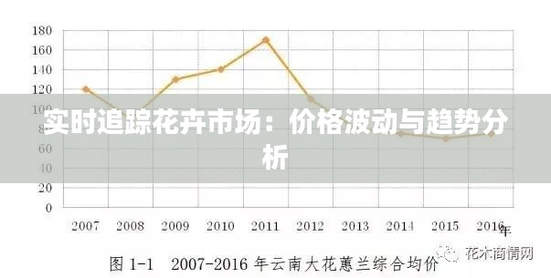 实时追踪花卉市场：价格波动与趋势分析