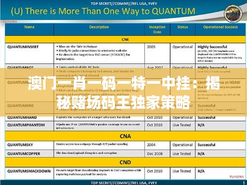 澳门一肖一码一特一中挂：揭秘赌场码王独家策略