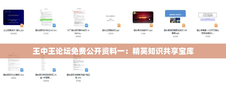 王中王论坛免费公开资料一：精英知识共享宝库