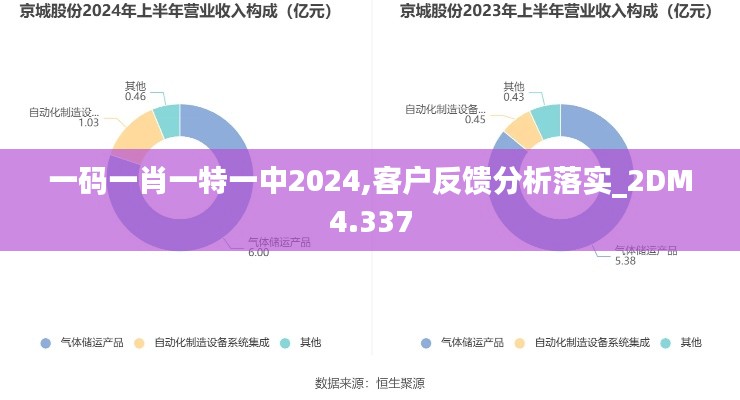 一码一肖一特一中2024,客户反馈分析落实_2DM4.337