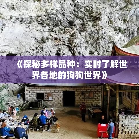 《探秘多样品种：实时了解世界各地的狗狗世界》