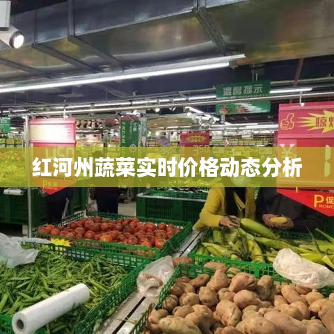 红河州蔬菜实时价格动态分析