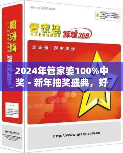 2024年管家婆100%中奖 - 新年抽奖盛典，好运挡不住