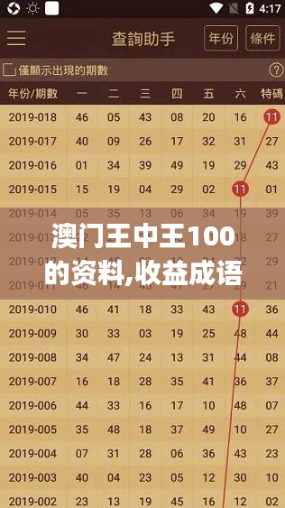 澳门王中王100的资料,收益成语分析落实_桌面版10.306