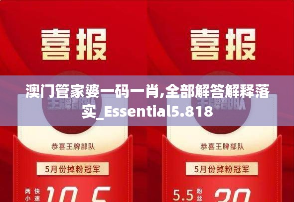 澳门管家婆一码一肖,全部解答解释落实_Essential5.818