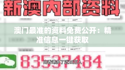 澳门最准的资料免费公开：精准信息一键获取