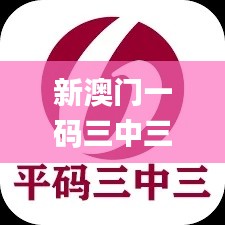 新澳门一码三中三必中,高度协调策略执行_eShop17.938