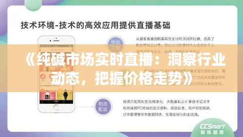 《纯碱市场实时直播：洞察行业动态，把握价格走势》