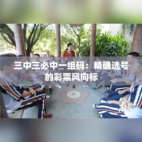 三中三必中一组码：精确选号的彩票风向标