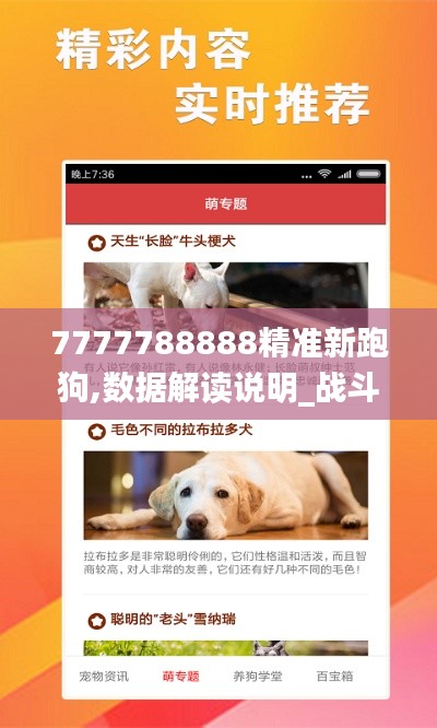 7777788888精准新跑狗,数据解读说明_战斗版4.288