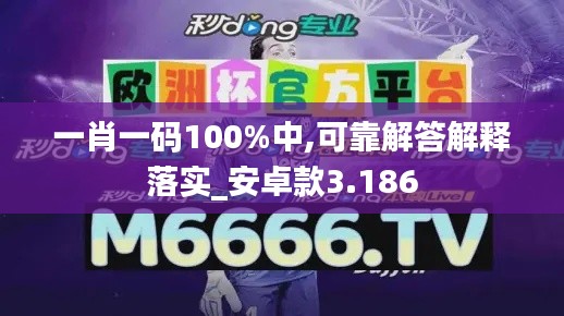 一肖一码100%中,可靠解答解释落实_安卓款3.186