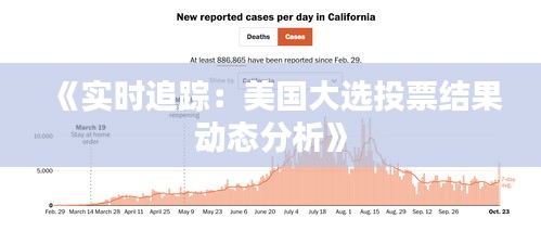 《实时追踪：美国大选投票结果动态分析》