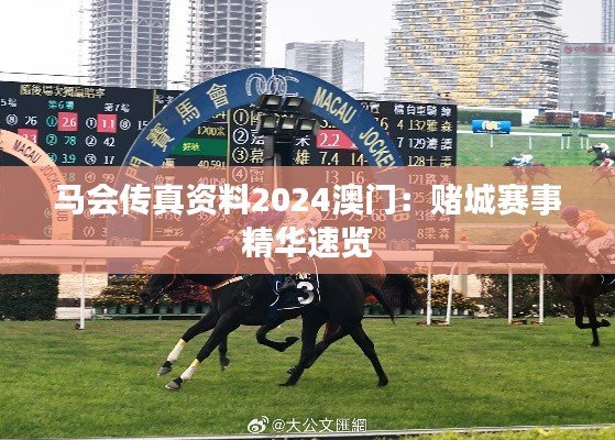 马会传真资料2024澳门：赌城赛事精华速览