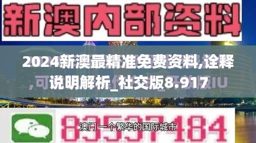 2024新澳最精准免费资料,诠释说明解析_社交版8.917