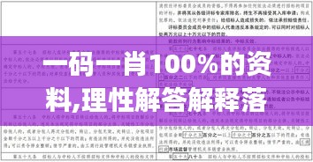 一码一肖100%的资料,理性解答解释落实_特别版2.696