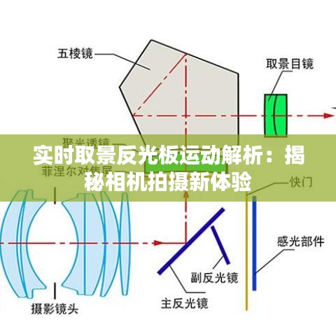 实时取景反光板运动解析：揭秘相机拍摄新体验