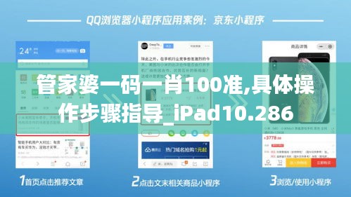 管家婆一码一肖100准,具体操作步骤指导_iPad10.286