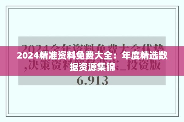 2024精准资料免费大全：年度精选数据资源集锦