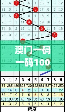 澳门一码一码100准确张子慧,探索与解析_挑战版8.138