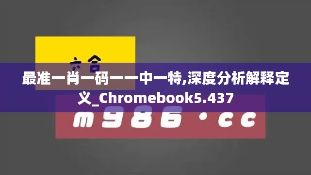 最准一肖一码一一中一特,深度分析解释定义_Chromebook5.437