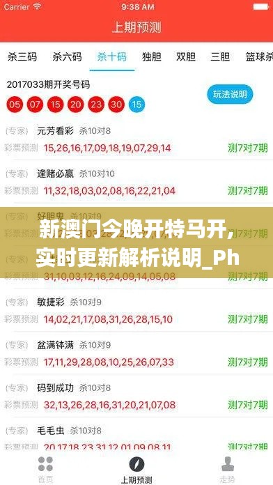 新澳门今晚开特马开,实时更新解析说明_Phablet110.706