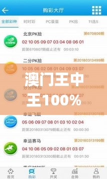 澳门王中王100%正确答案最新章节,衡量解答解释落实_4K版8.521