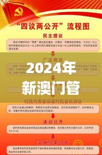 2024年新澳门管家婆免费资料全,决策资料解释落实_精装版3.734