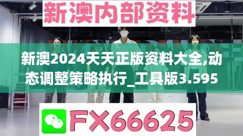 新澳2024天天正版资料大全,动态调整策略执行_工具版3.595