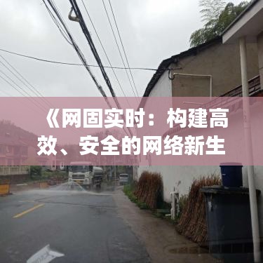 《网固实时：构建高效、安全的网络新生态》