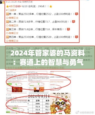 2024年管家婆的马资料：赛道上的智慧与勇气