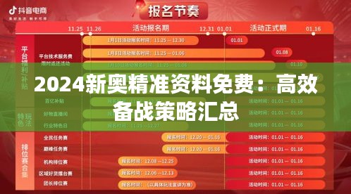 2024新奥精准资料免费：高效备战策略汇总