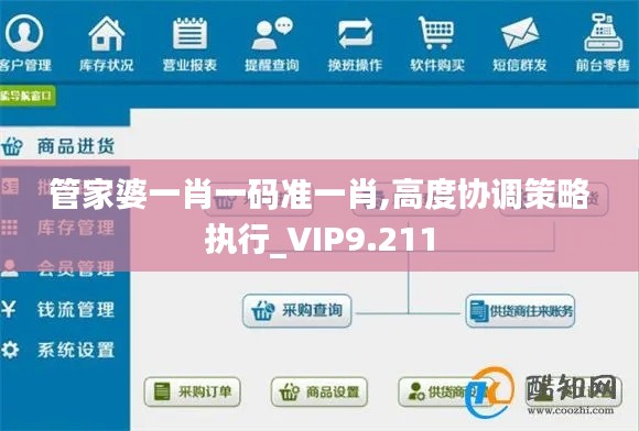 管家婆一肖一码准一肖,高度协调策略执行_VIP9.211