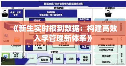 《新生实时报到数据：构建高效入学管理新体系》