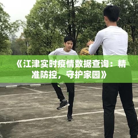 《江津实时疫情数据查询：精准防控，守护家园》